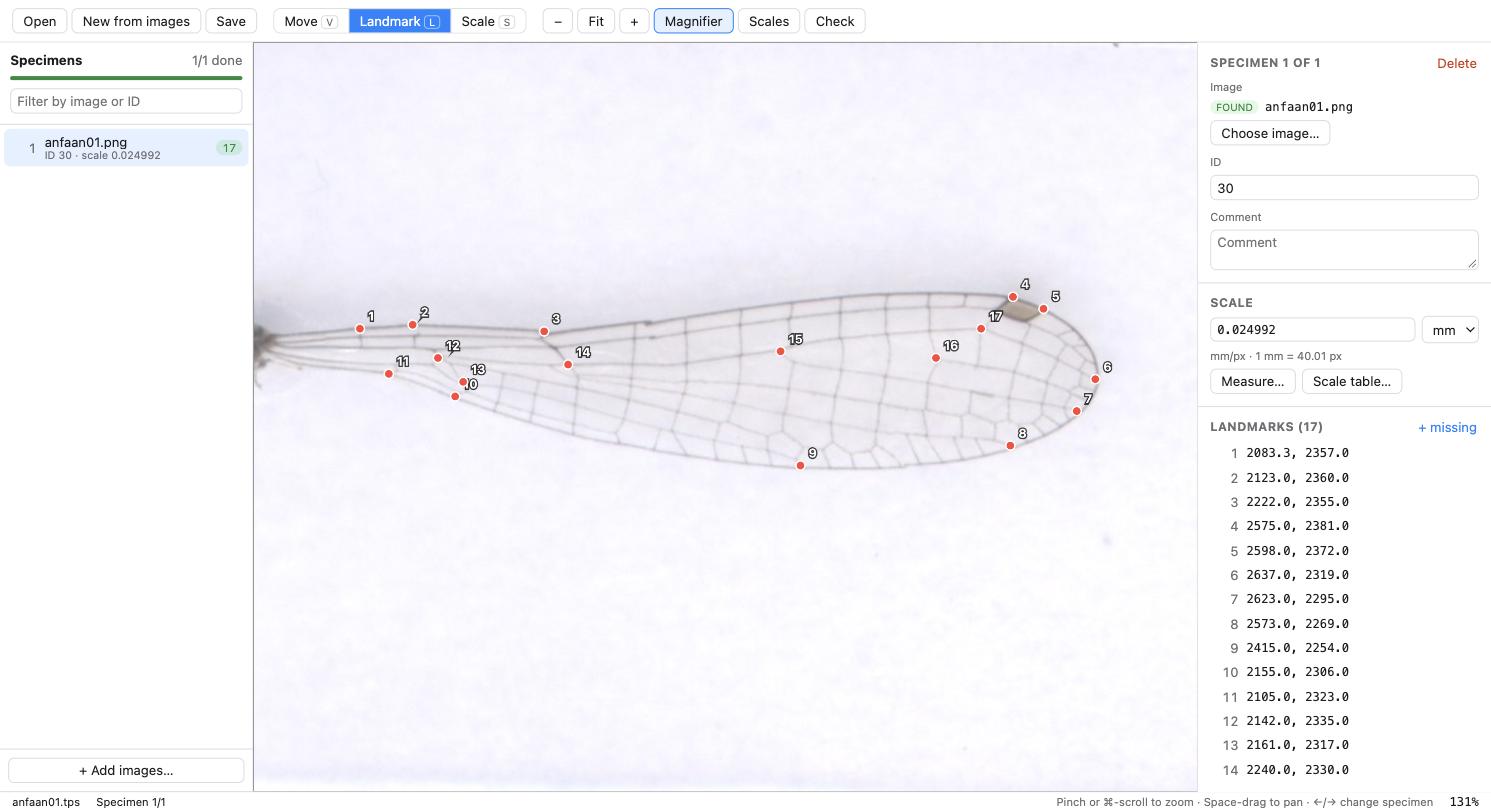 TPS View showing a scanned insect wing with 17 digitized landmarks, the specimen list and the scale panel